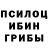 Псилоцибиновые грибы Cubensis VadikAdik