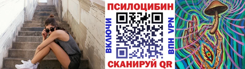где купить наркотик  Кировск  Галлюциногенные грибы мухоморы 